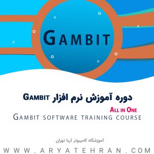 آموزش نرم افزار گمبیت Gambit | دوره آموزش کامل گمبیت | از مبتدی تا پیشرفته در آریا تهران