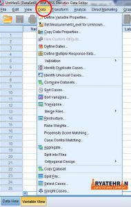 منوی Data در نرم افزار SPSS