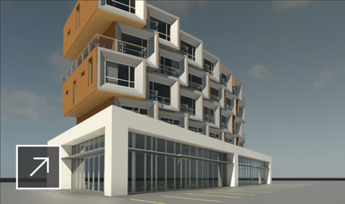 تاریخچه رویت