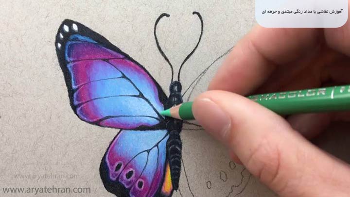 آموزش نقاشی با مداد رنگی مبتدی و حرفه ای