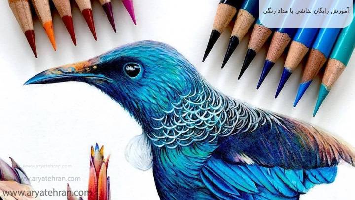 آموزش رایگان نقاشی با مداد رنگی