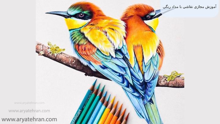 آموزش مجازی نقاشی با مداد رنگی