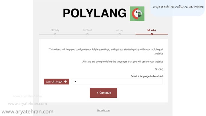 بهترین پلاگین دو زبانه وردپرس Polylang