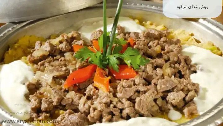 پیش غذای ترکیه