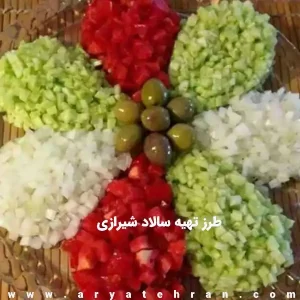 طرز تهیه سالاد شیرازی با آبلیمو و آبغوره | آموزش سالاد شیرازی مجلسی