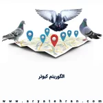 الگوریتم کبوتر