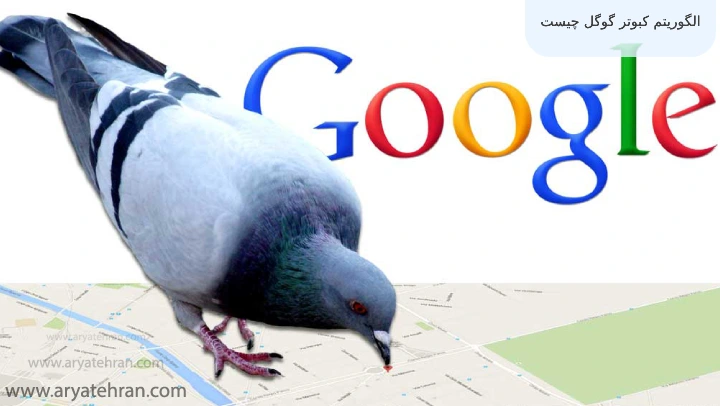الگوریتم کبوتر گوگل چیست
