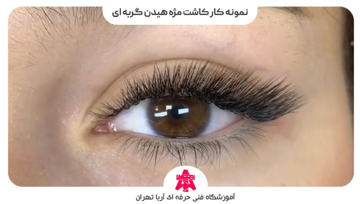 نمونه کار کاشت مژه هیدن گربه ای