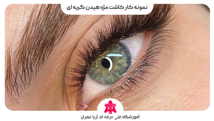 نمونه کار کاشت مژه هیدن گربه ای