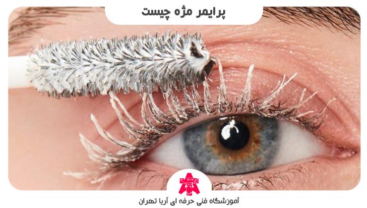 پرایمر مژه چیست