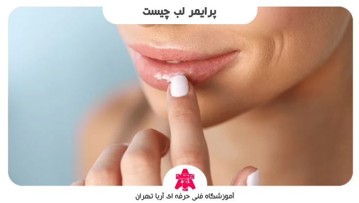 پرایمر لب چیست