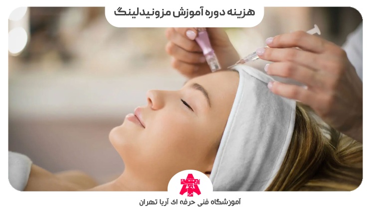 هزینه دوره آموزش مزونیدلینگ