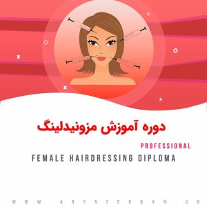 دوره آموزش مزونیدلینگ از صفر تا صد با مدرک فنی حرفه ای
