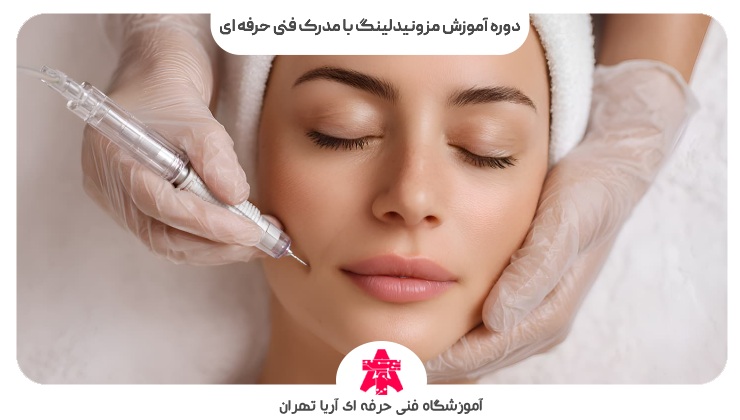 دوره آموزش مزونیدلینگ با مدرک فنی حرفه ای