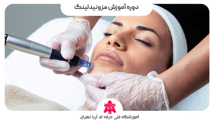 دوره آموزش مزونیدلینگ