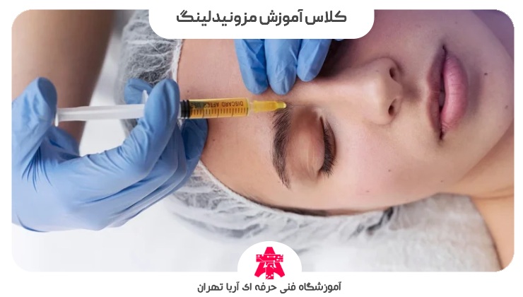 کلاس آموزش مزونیدلینگ
