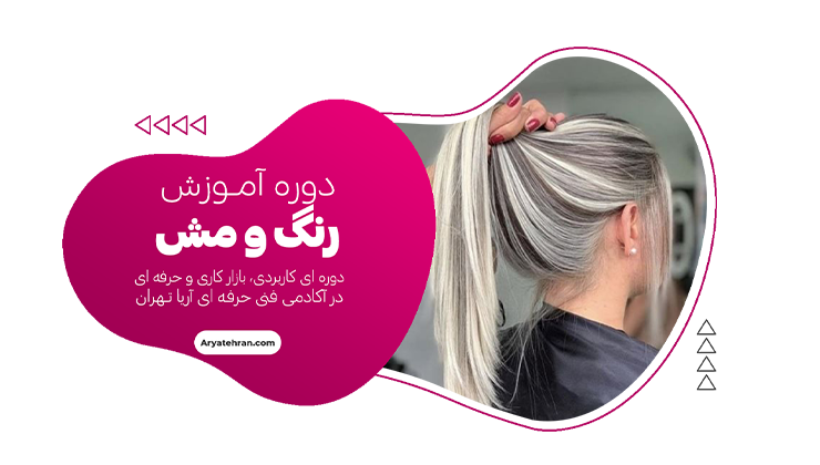 دوره آموزش رنگ و مش