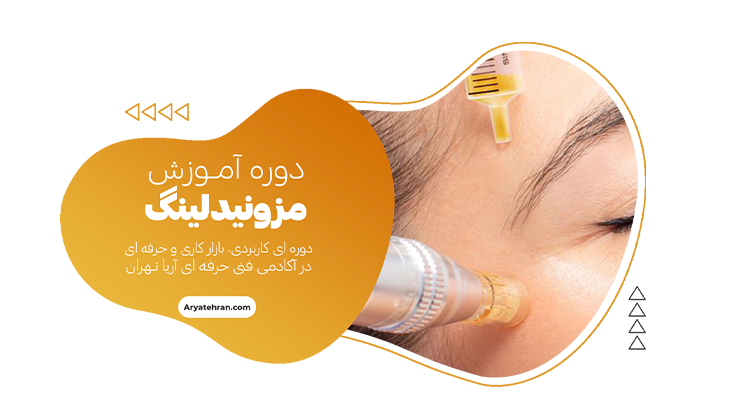 دوره آموزش مزونیدلینگ