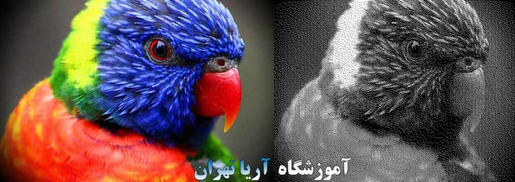 bitmap چیست | معرفی بیت مپ در فتوشاپ | تبدیل عکس به بیت مپ در فتوشاپ