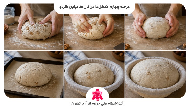 مرحله چهارم: شکل دادن نان کامپاین گردو