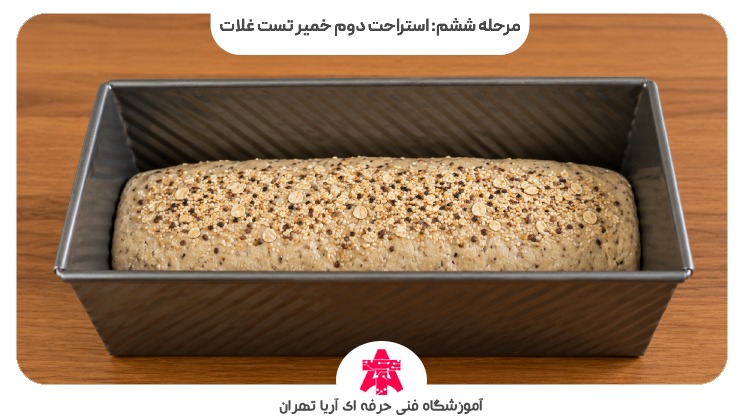 مرحله ششم: استراحت دوم خمیر تست غلات