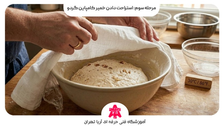 مرحله سوم: استراحت دادن خمیر کامپاین گردو